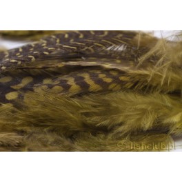 Guinea fowl feathers Olive